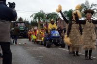 DSC05240_Carnaval-HerbiesterJalhay-2010_Par-Olivier-Closset.jpg