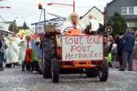 DSC05378_Carnaval-HerbiesterJalhay-2010_Par-Olivier-Closset.jpg